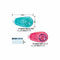 PINK Kokuyo Campus PetitMore Strong Adhesive DOTLINER Refillable Glue Tape Photo Glue Acid-Free | D920-06
