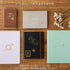 Midori Gold FOIL SEA Creatures Transfer Stickers Whales Jellyfish Print-On Stickers Rub-On Stickers Transfer Sticker Translucent | 2618
