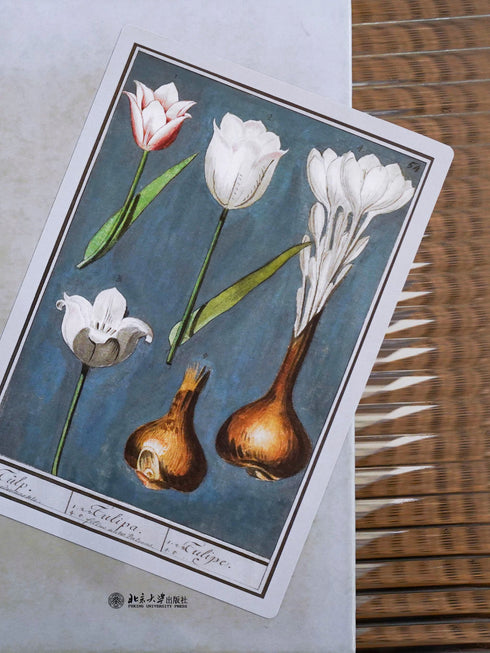 Papermood Flower WRITING BOARD Pencil Board Bookmark Underlayment Tracing Writing Aid Pencil Board Pen Soft PVC