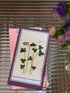 Papermood Flower WRITING BOARD Pencil Board Bookmark Underlayment Tracing Writing Aid Pencil Board Pen Soft PVC