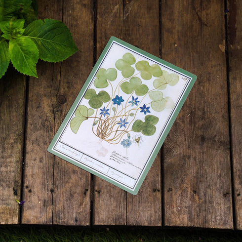 Papermood Flower WRITING BOARD Pencil Board Bookmark Underlayment Tracing Writing Aid Pencil Board Pen Soft PVC