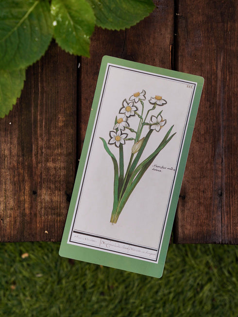 Papermood Flower WRITING BOARD Pencil Board Bookmark Underlayment Tracing Writing Aid Pencil Board Pen Soft PVC