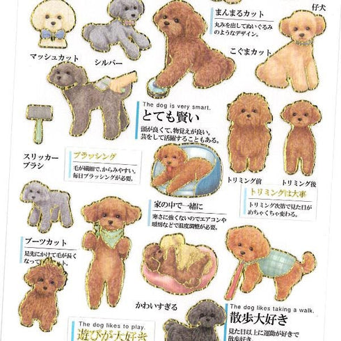 Kamio Japan Stickers POODLES Toy Poodles Adult Visual Dictionary Toy Poodle Mini Poodle Toy Dogs GOLD Foil Stickers | 213823