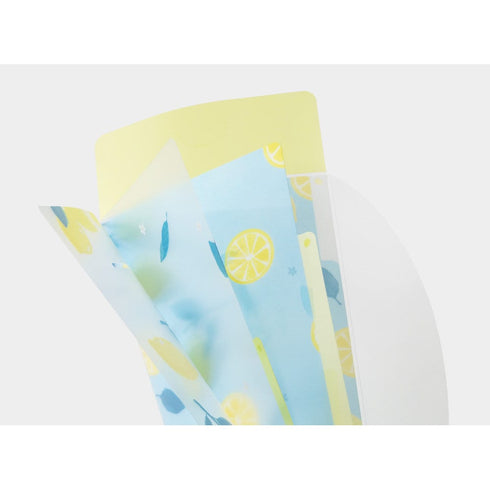 LEMON Midori A5 SLIM With Flap 3 Pocket Clear Folder Md Folder Water Resistant Folder | 221.5mm X 126mm