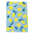 LEMON Midori A4 3 Pocket Clear Folder MD Folder Water Resistant Folder | 310mm X 221mm
