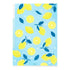 LEMON Midori A4 3 Pocket Clear Folder MD Folder Water Resistant Folder | 310mm X 221mm