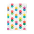 Midori MD A5 3 Pocket Clear Folder | Dots