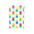 Midori MD A6 3 Pocket Clear Folder | Dots