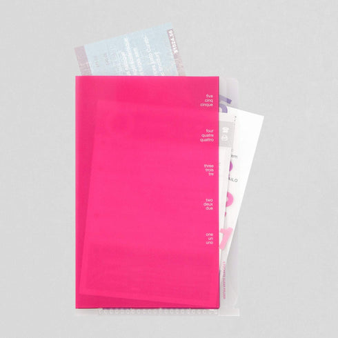 Midori MD A6 5 Pocket Clear Folder | Pink