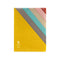 Midori MD A6 5 Pocket Clear Folder | Yellow Diagonal Stripe