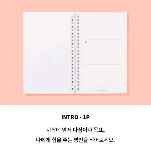 MOTEMOTE Living Coral Task Manager Planner | 100 Days - USA located!