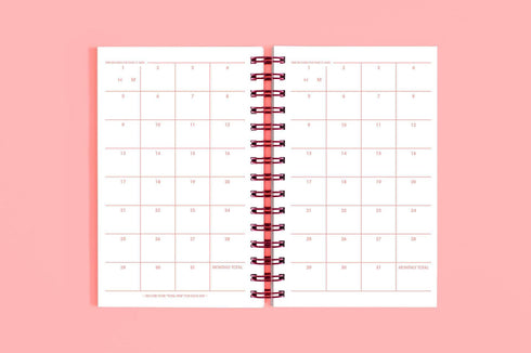 MOTEMOTE Rose Quartz 10 Minute Planner | Half Year - USA located!