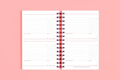 MOTEMOTE Rose Quartz 10 Minute Planner | Half Year - USA located!