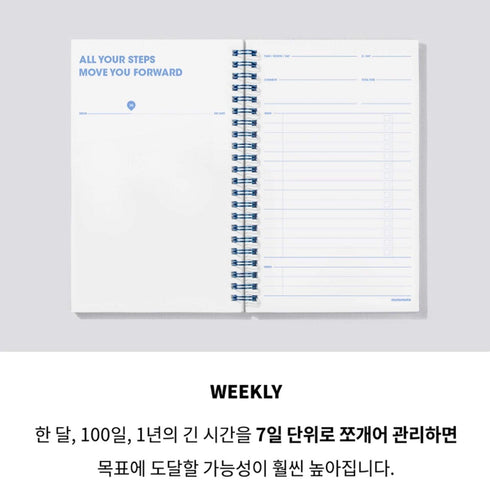 MOTEMOTE Rose Quartz Task Manager Planner | 100 Days - USA located!