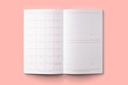 MOTEMOTE Rose Quartz Task Manager Planner | 31 Days - USA located!