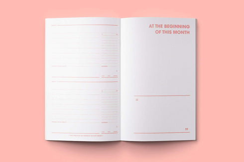 MOTEMOTE Rose Quartz Task Manager Planner | 31 Days - USA located!