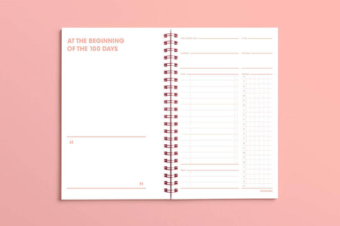 MOTEMOTE Rose Quartz Ten Minute Planner | 100 Days - USA located!