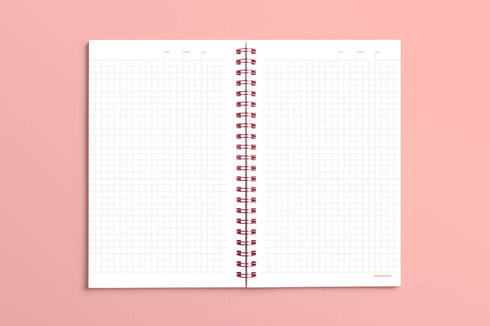 MOTEMOTE Rose Quartz Ten Minute Planner | 100 Days - USA located!