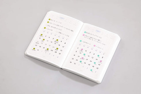 Stalogy Editor's Series 365Days Notebook | A5 Blue