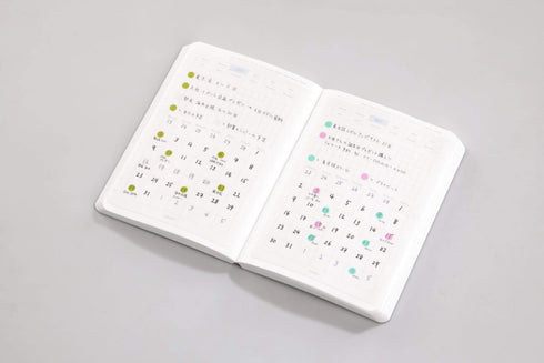 Stalogy Editor's Series 365Days Notebook | B5 Black